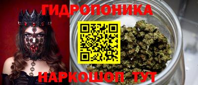 jwh Будённовск